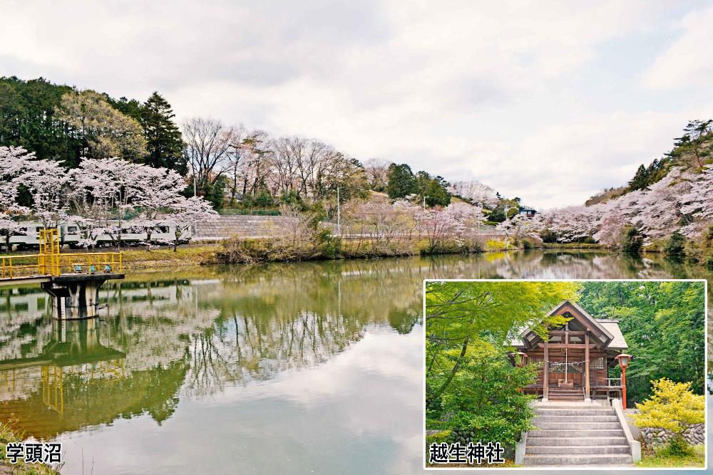 学頭沼と鹿下越生神社
