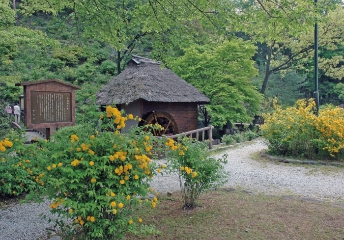 山吹の里歴史公園