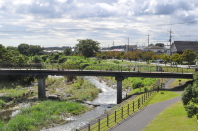 越辺川遊歩道