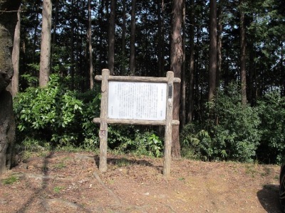 005世界無名戦士の墓