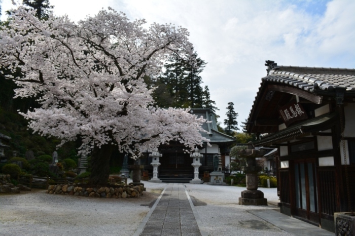 013法恩寺