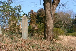 035　玉章寺