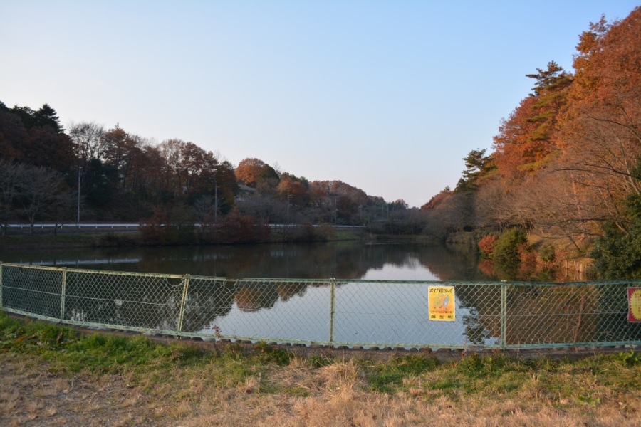 学頭沼と鹿下越生神社