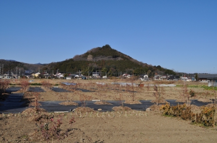 049　弘法山