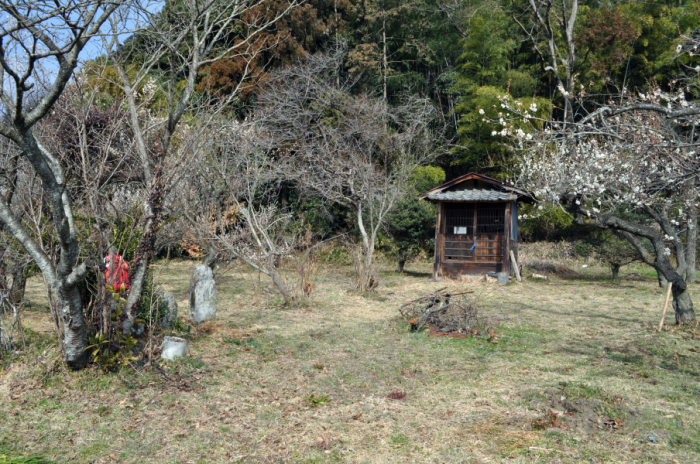 051　高岸寺
