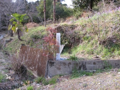 篠葉の池