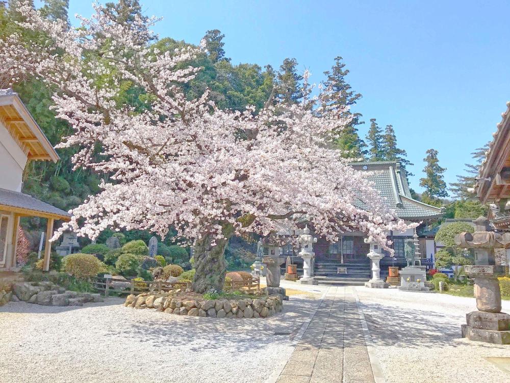 法恩寺
