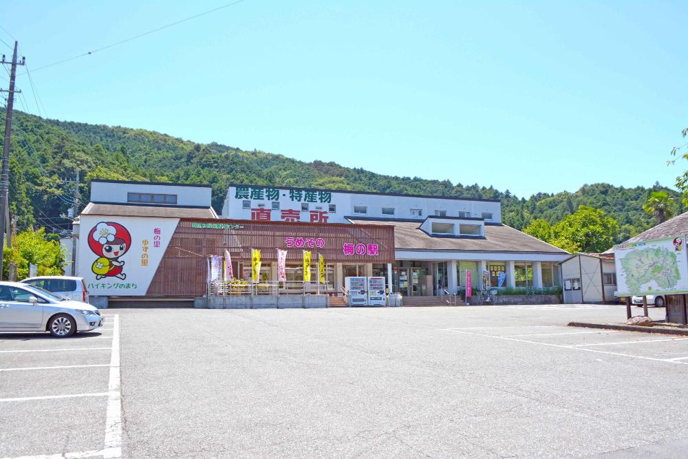 自然休養村センター
