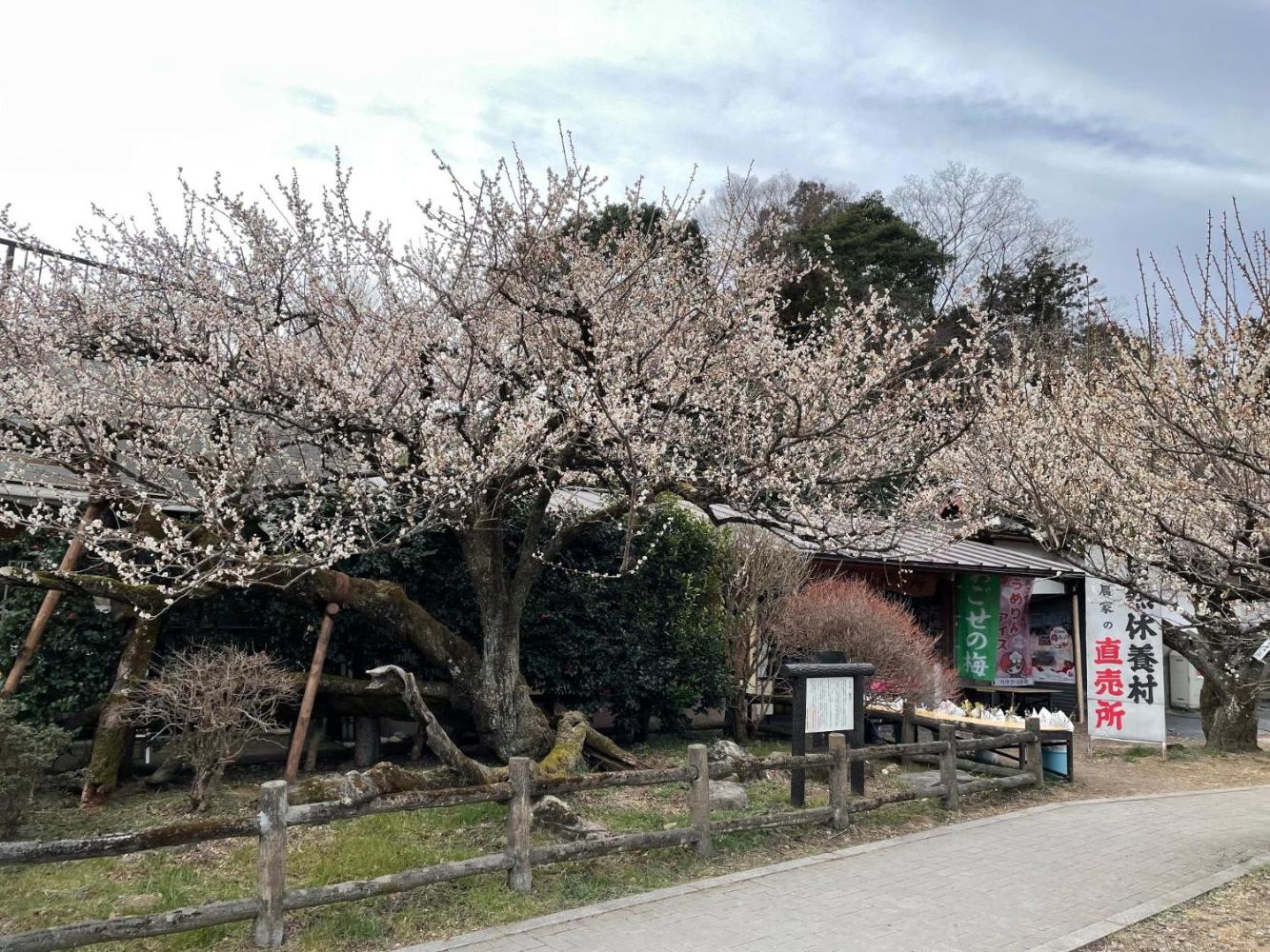 kaisetsu