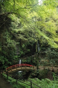 (写真)黒山三滝サブ01