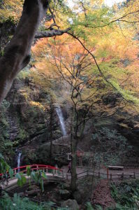 (写真)黒山三滝サブ02